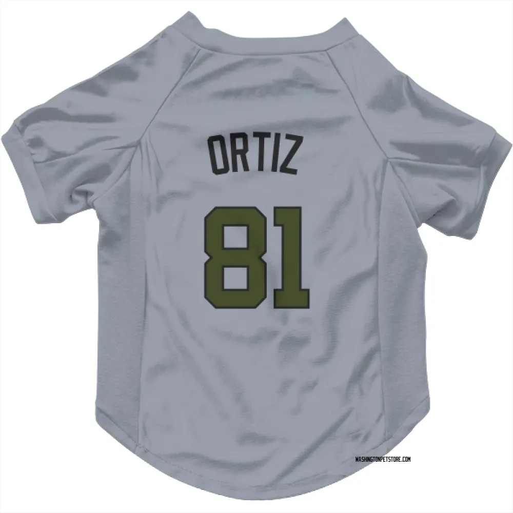 Washington Nationals Abimelec Ortiz Gray Pet Jersey for Dog & Cat