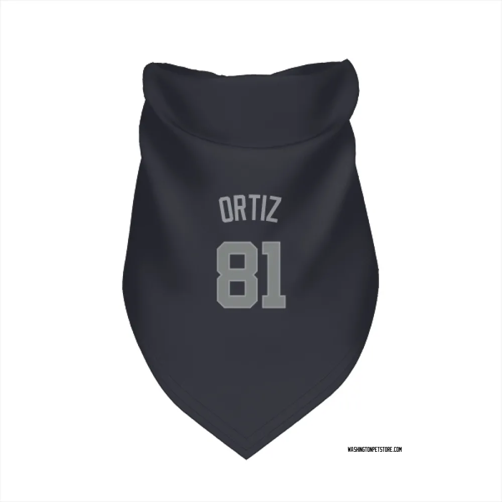 Washington Nationals Abimelec Ortiz Navy Gray Pet Bandana for Dog & Cat