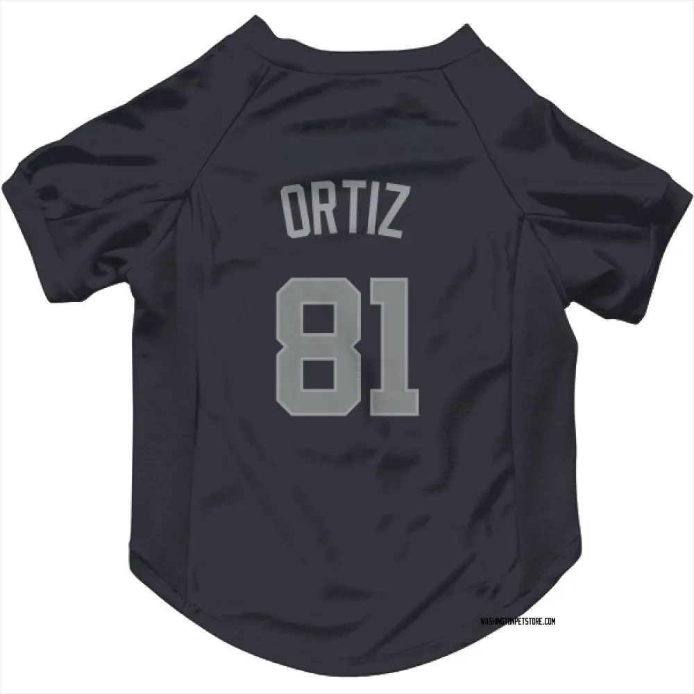 Washington Nationals Abimelec Ortiz Navy Gray Pet Jersey for Dog & Cat