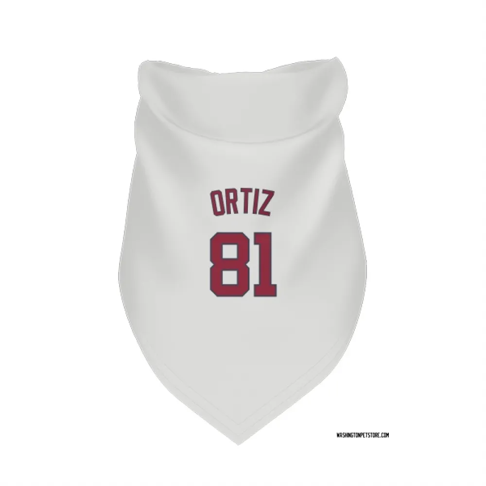 Washington Nationals Abimelec Ortiz White Pet Bandana for Dog & Cat