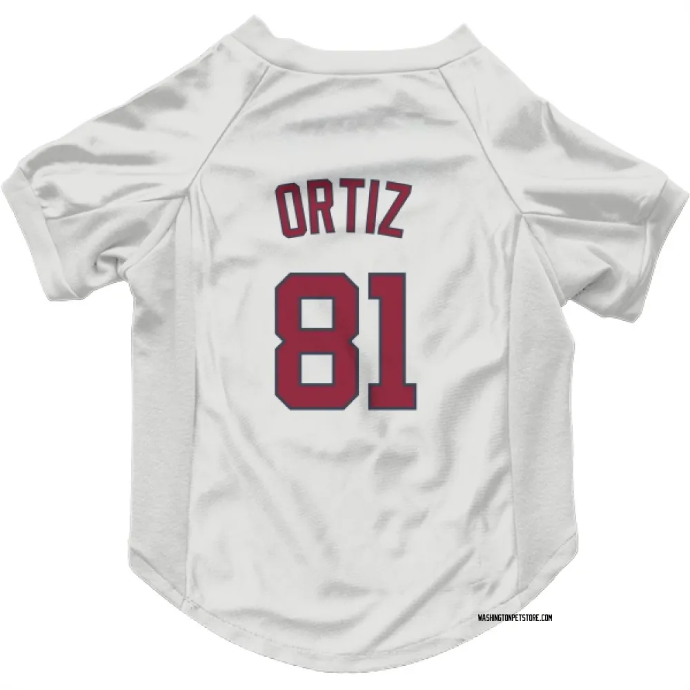 Washington Nationals Abimelec Ortiz White Pet Jersey for Dog & Cat