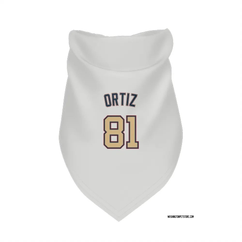 Washington Nationals Abimelec Ortiz White/Gold Pet Bandana for Dog & Cat