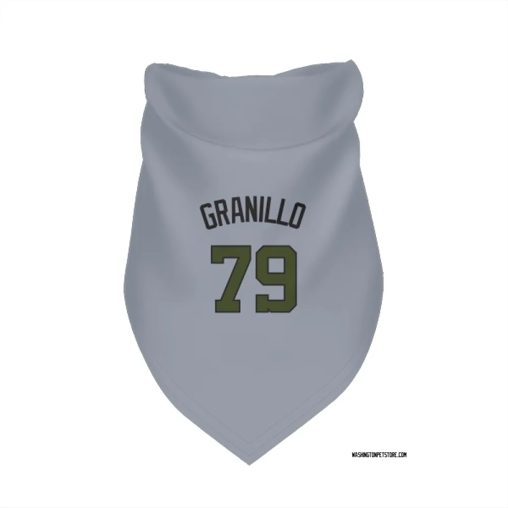 Washington Nationals Andre Granillo Gray Pet Bandana for Dog & Cat