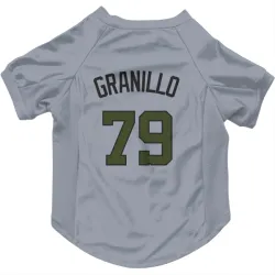 Washington Nationals Andre Granillo Gray Pet Jersey for Dog & Cat