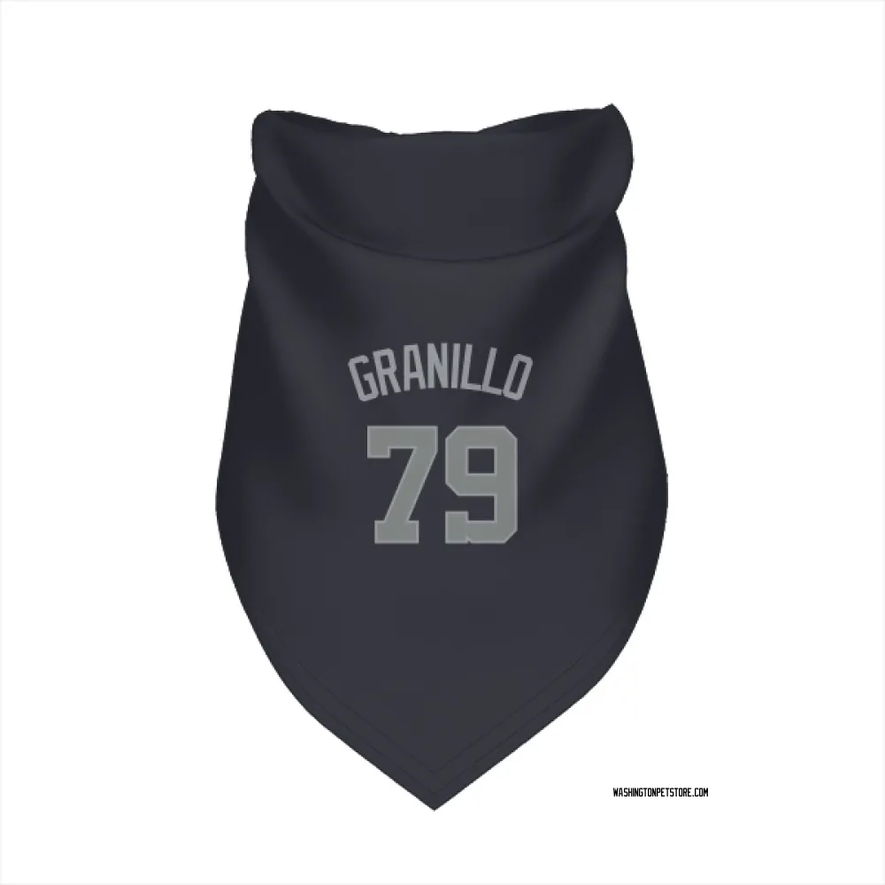 Washington Nationals Andre Granillo Navy Gray Pet Bandana for Dog & Cat