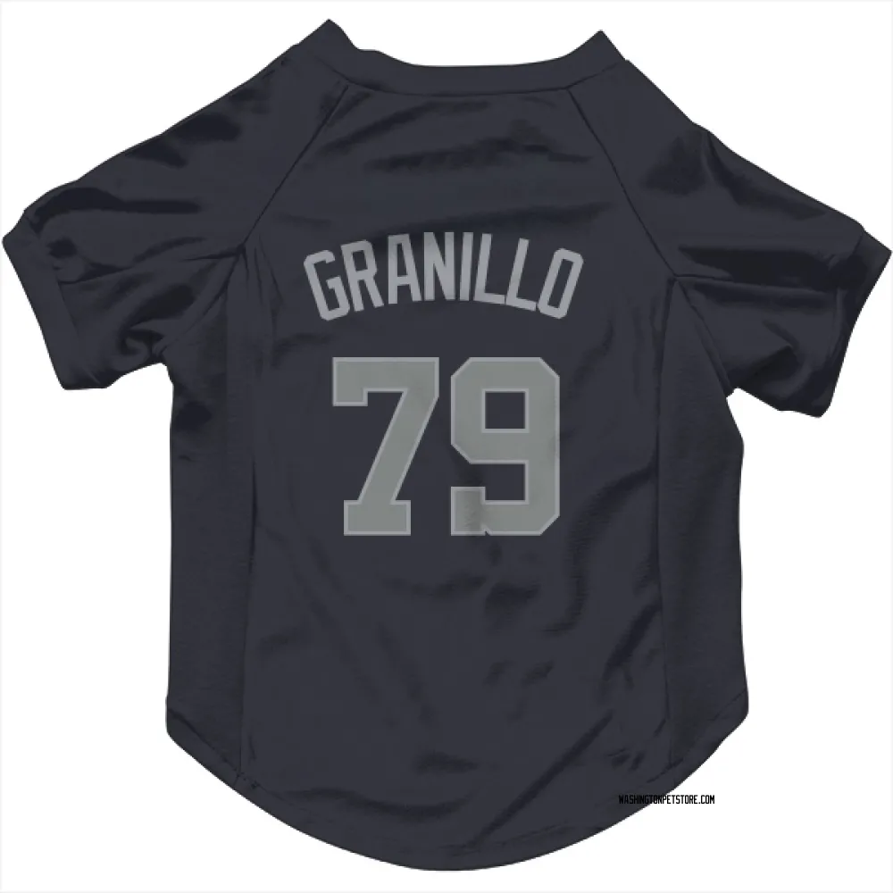Washington Nationals Andre Granillo Navy Gray Pet Jersey for Dog & Cat