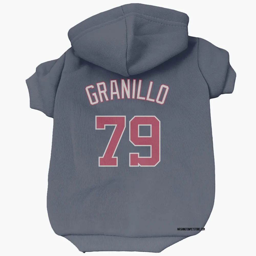 Washington Nationals Andre Granillo Navy Pet Hoodie for Dog & Cat