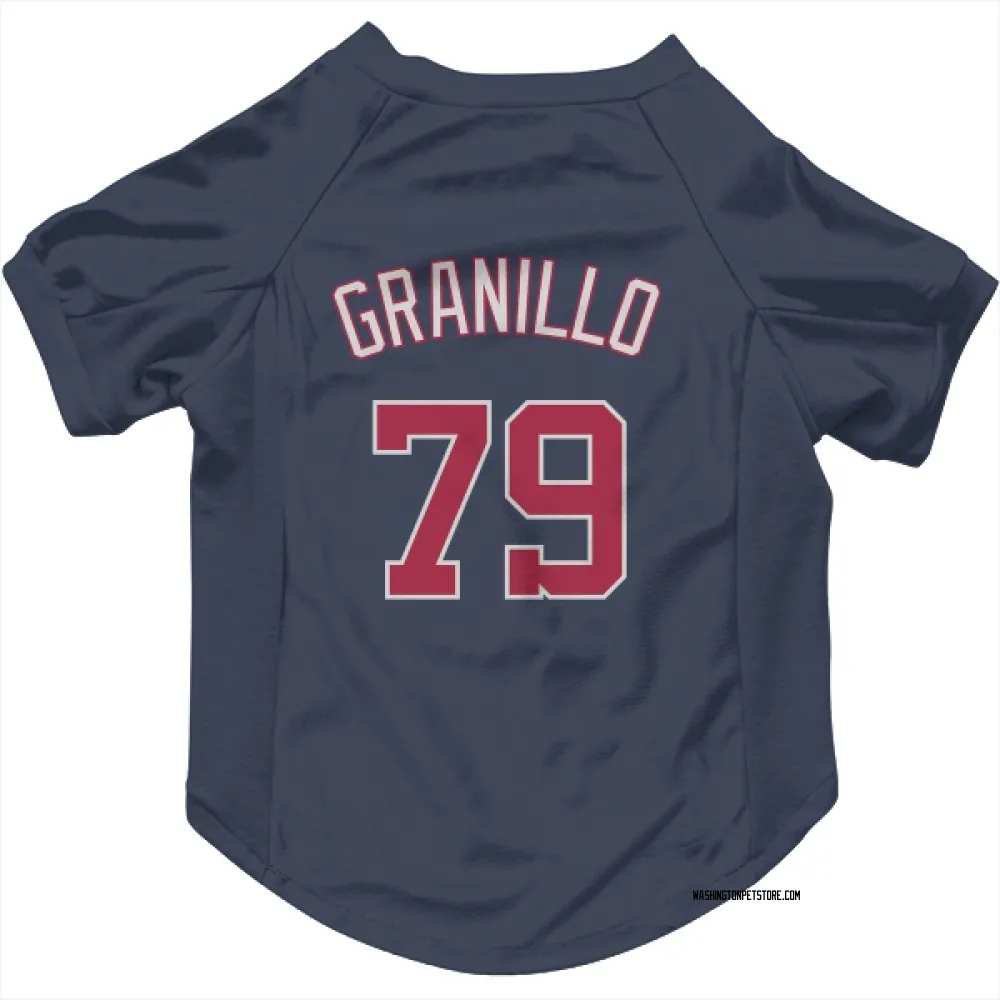 Washington Nationals Andre Granillo Navy Pet Jersey for Dog & Cat