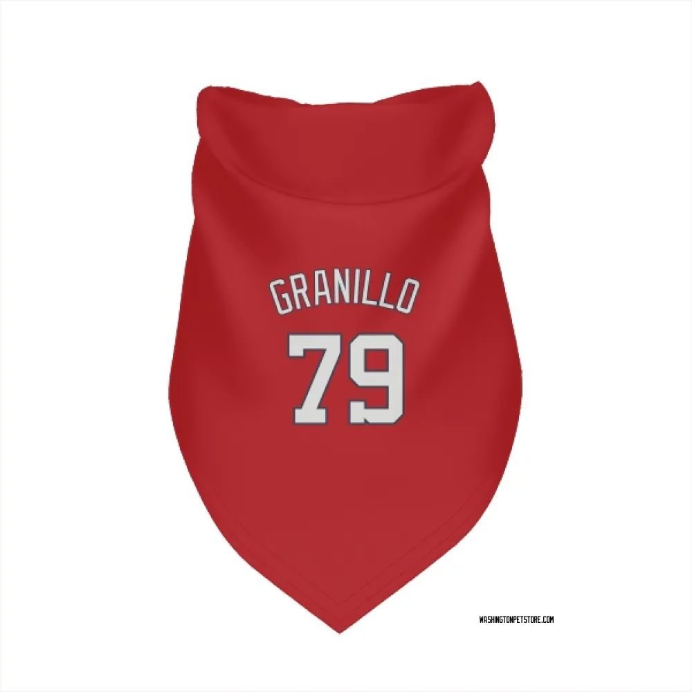 Washington Nationals Andre Granillo Red Pet Bandana for Dog & Cat