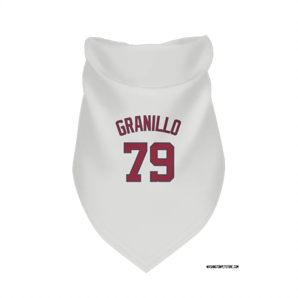 Washington Nationals Andre Granillo White Pet Bandana for Dog & Cat