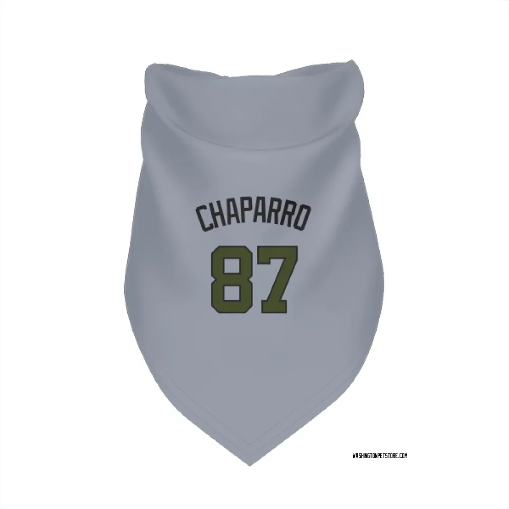 Washington Nationals Andres Chaparro Gray Pet Bandana for Dog & Cat