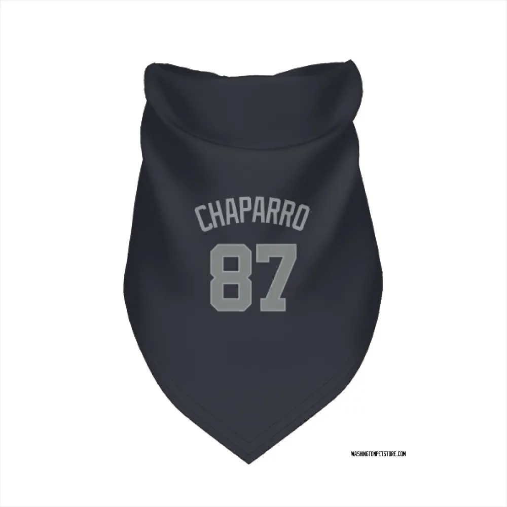 Washington Nationals Andres Chaparro Navy Gray Pet Bandana for Dog & Cat