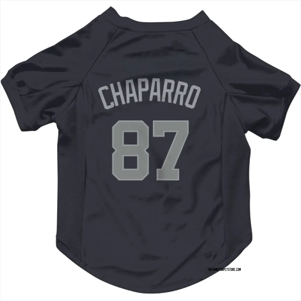 Washington Nationals Andres Chaparro Navy Gray Pet Jersey for Dog & Cat