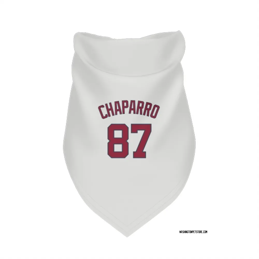 Washington Nationals Andres Chaparro White Pet Bandana for Dog & Cat