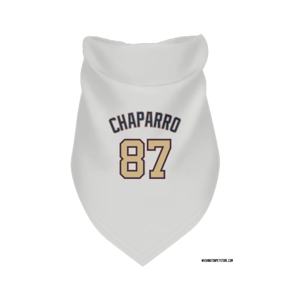 Washington Nationals Andres Chaparro White/Gold Pet Bandana for Dog & Cat