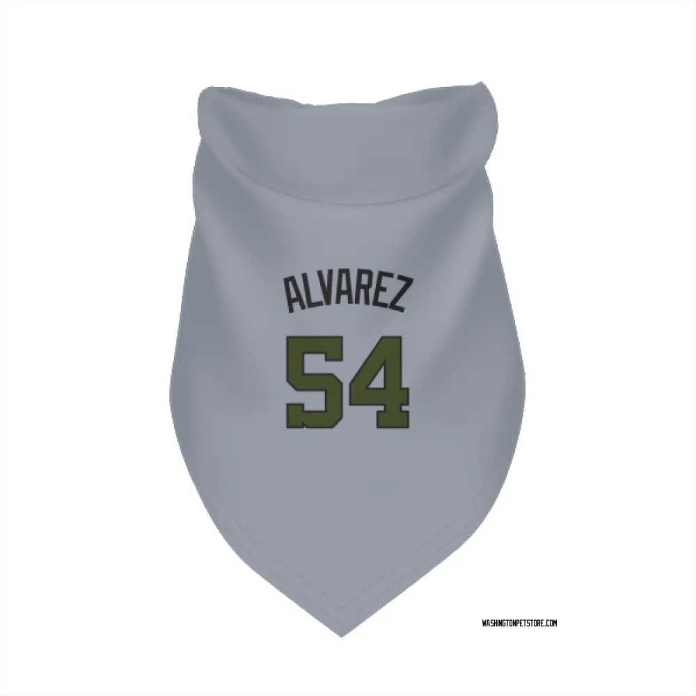 Washington Nationals Andrew Alvarez Gray Pet Bandana for Dog & Cat