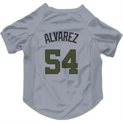 Washington Nationals Andrew Alvarez Gray Pet Jersey for Dog & Cat