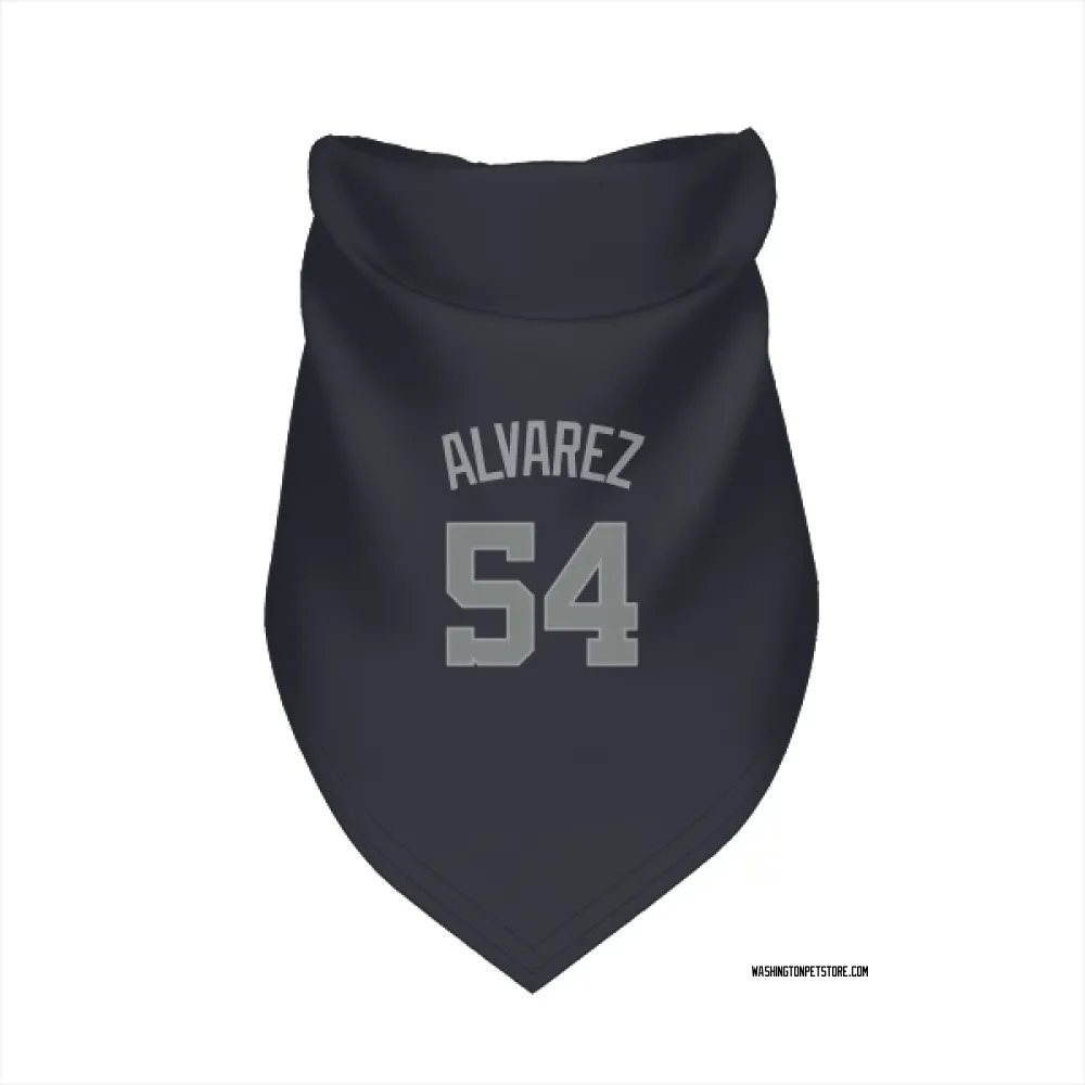 Washington Nationals Andrew Alvarez Navy Gray Pet Bandana for Dog & Cat