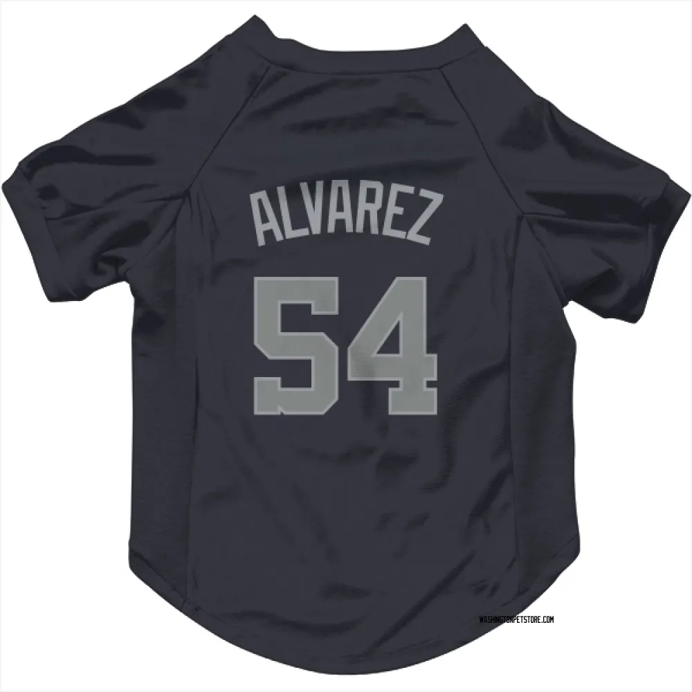 Washington Nationals Andrew Alvarez Navy Gray Pet Jersey for Dog & Cat