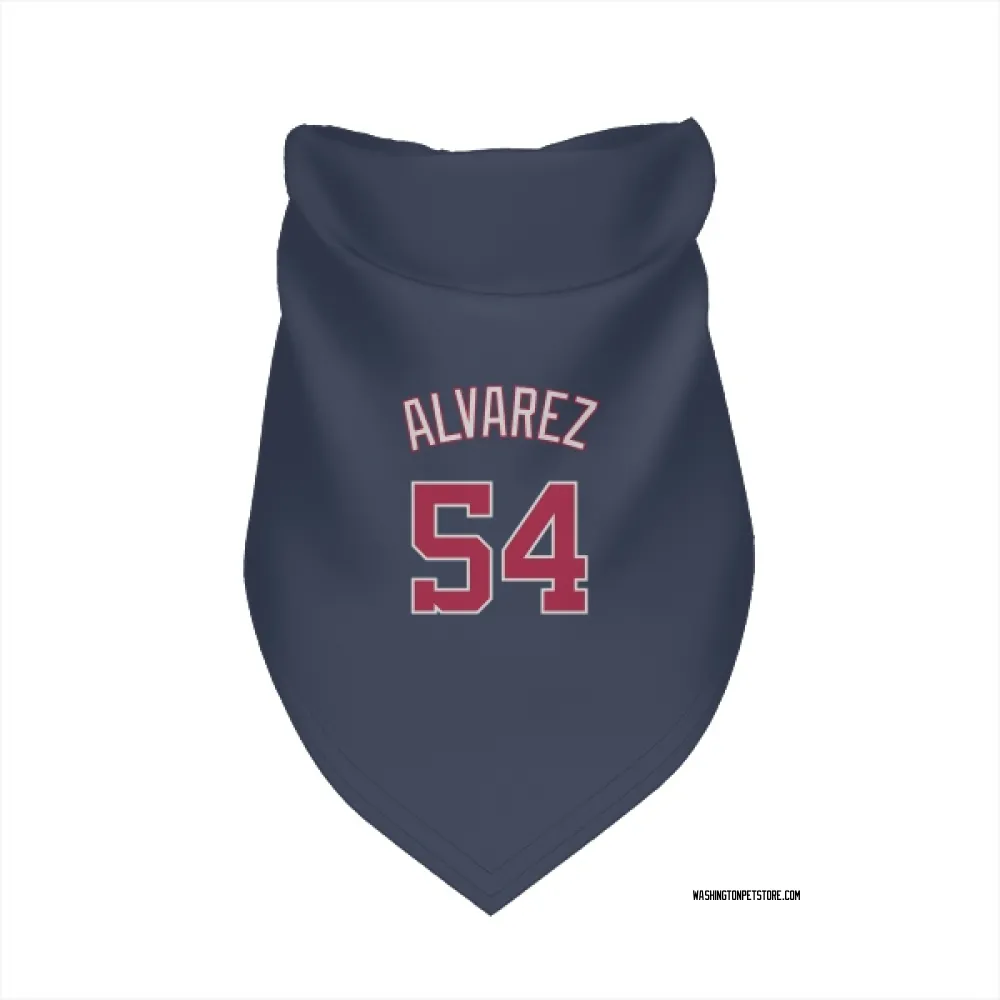 Washington Nationals Andrew Alvarez Navy Pet Bandana for Dog & Cat