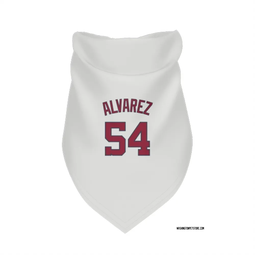 Washington Nationals Andrew Alvarez White Pet Bandana for Dog & Cat