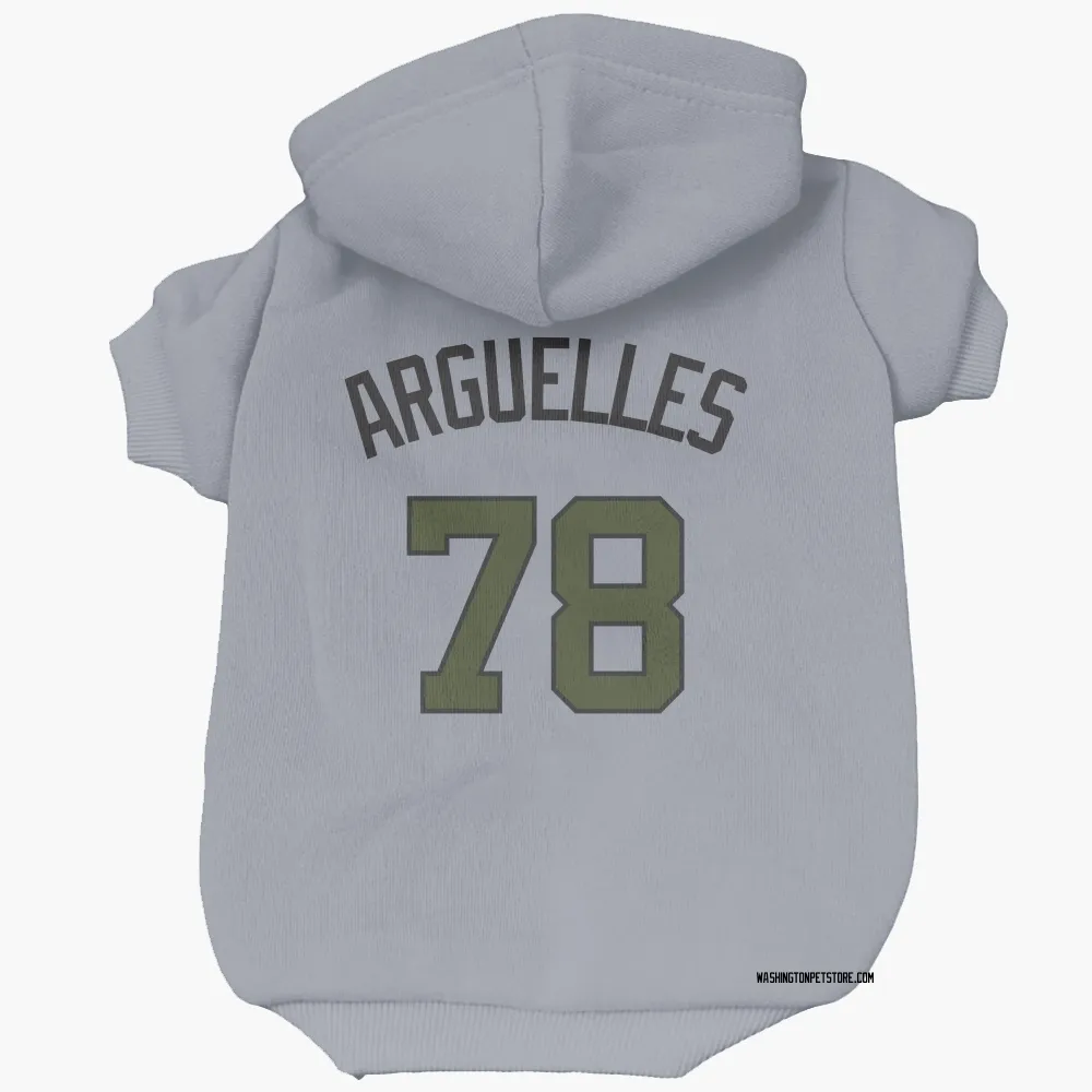 Washington Nationals Anthony Arguelles Gray Pet Hoodie for Dog & Cat