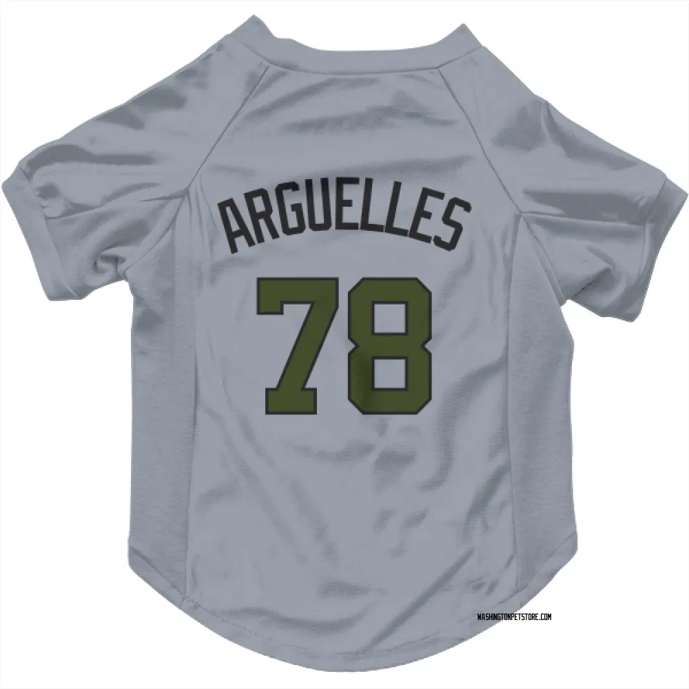 Washington Nationals Anthony Arguelles Gray Pet Jersey for Dog & Cat