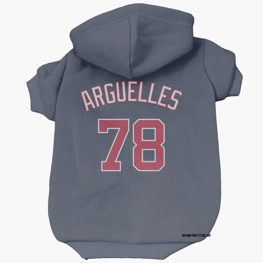 Washington Nationals Anthony Arguelles Navy Pet Hoodie for Dog & Cat