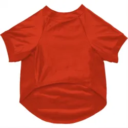 Washington Nationals Anthony Arguelles Orange Pet Jersey for Dog & Cat