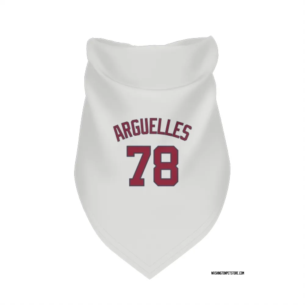 Washington Nationals Anthony Arguelles White Pet Bandana for Dog & Cat