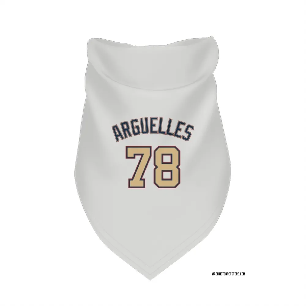 Washington Nationals Anthony Arguelles White/Gold Pet Bandana for Dog & Cat