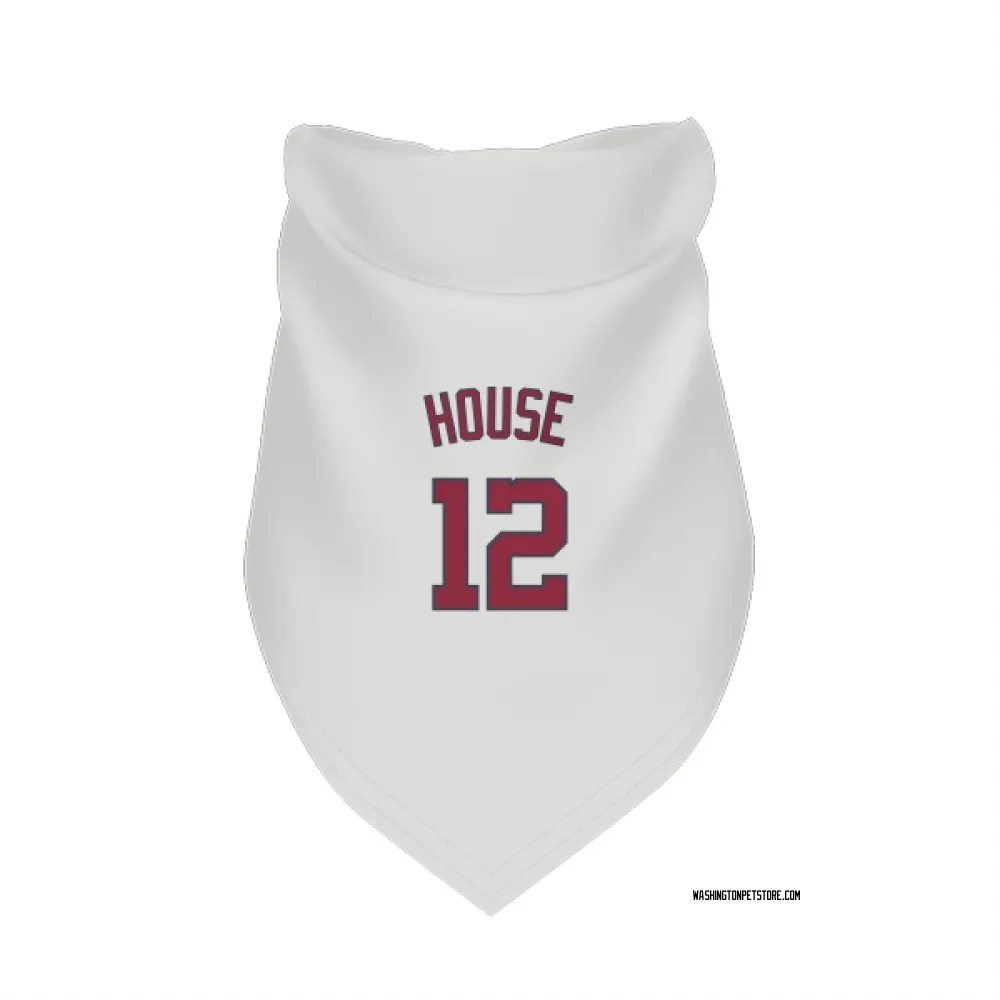 Washington Nationals Brady House White Pet Bandana for Dog & Cat