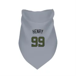 Washington Nationals Cole Henry Gray Pet Bandana for Dog & Cat