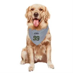 Washington Nationals Cole Henry Gray Pet Bandana for Dog & Cat
