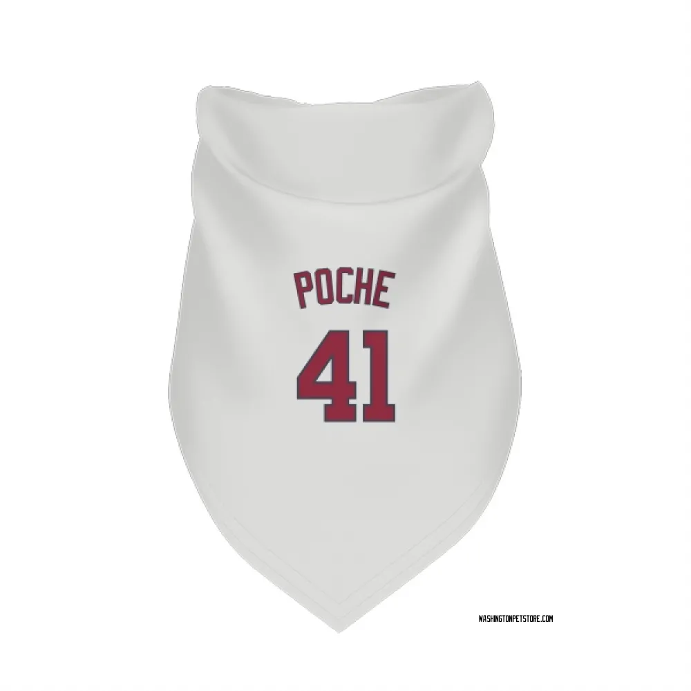 Washington Nationals Colin Poche White Pet Bandana for Dog & Cat