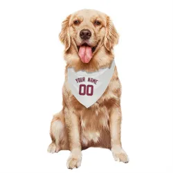 Washington Nationals Custom White Pet Bandana for Dog & Cat