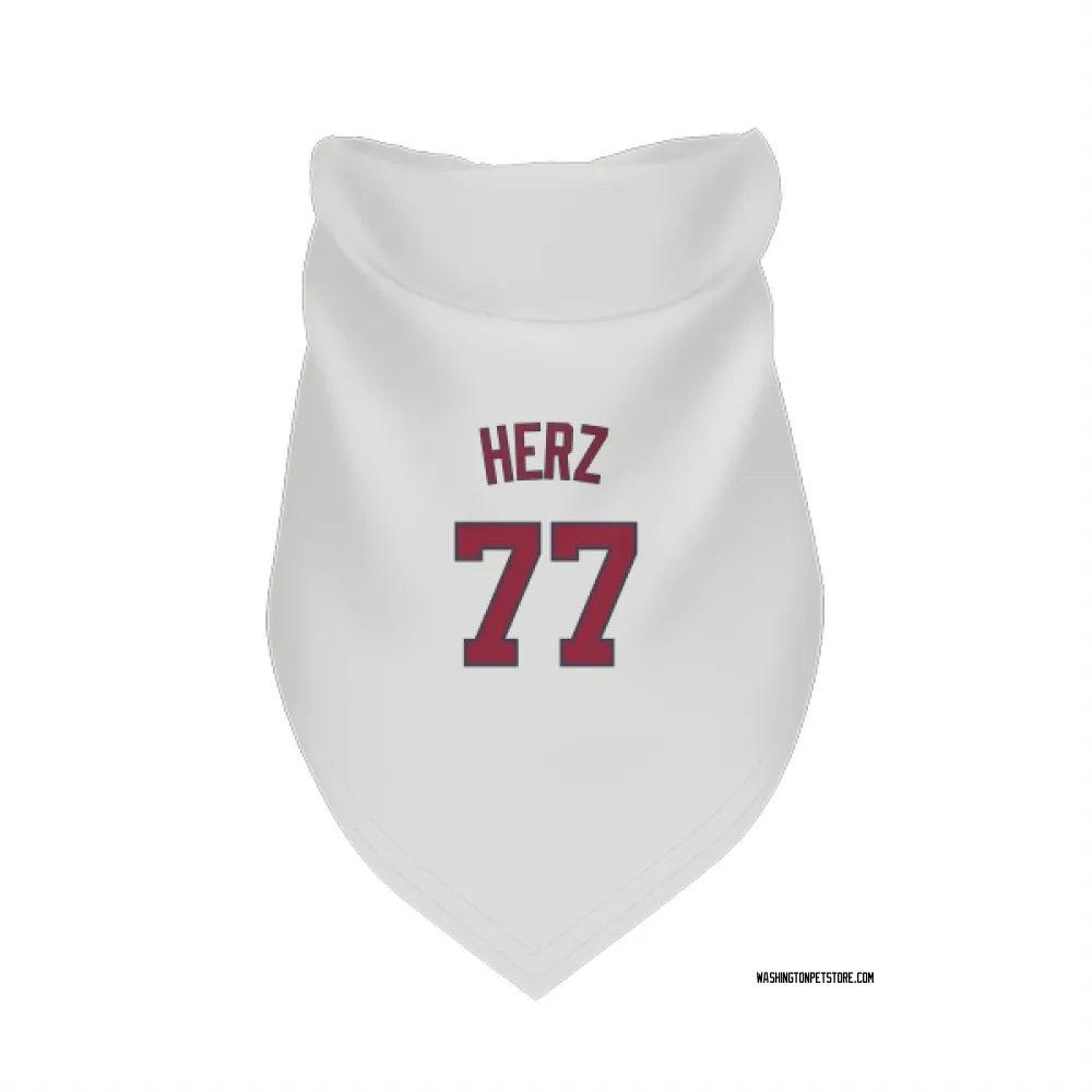 Washington Nationals DJ Herz White Pet Bandana for Dog & Cat