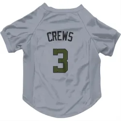 Washington Nationals Dylan Crews Gray Pet Jersey for Dog & Cat
