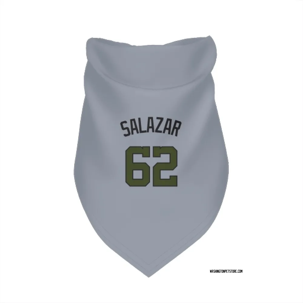 Washington Nationals Eduardo Salazar Gray Pet Bandana for Dog & Cat