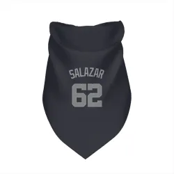 Washington Nationals Eduardo Salazar Navy Gray Pet Bandana for Dog & Cat