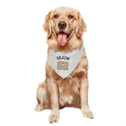 Washington Nationals Eduardo Salazar White/Gold Pet Bandana for Dog & Cat