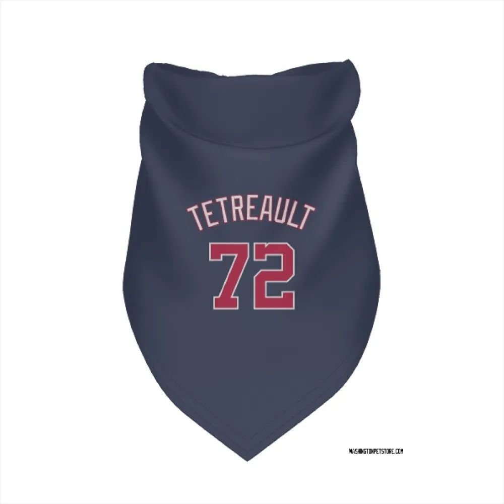 Washington Nationals Jackson Tetreault Navy Pet Bandana for Dog & Cat