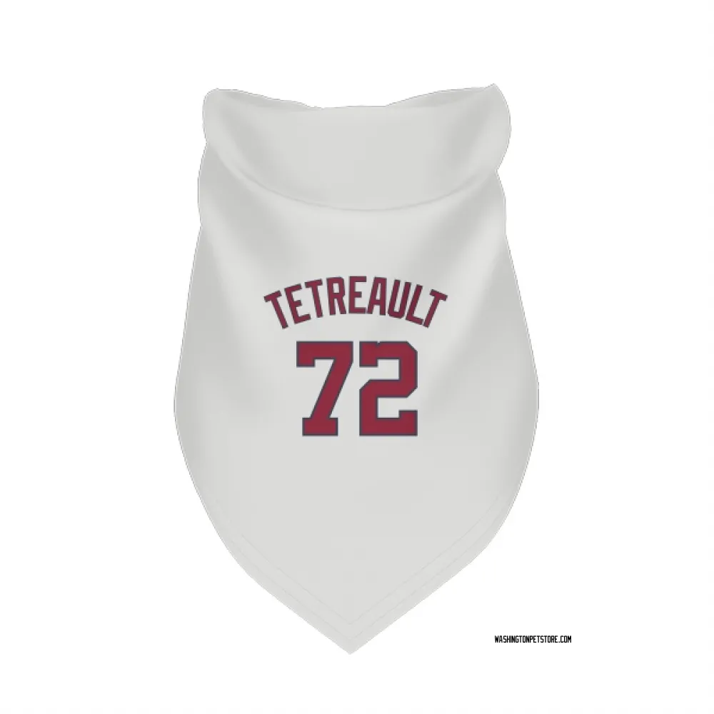 Washington Nationals Jackson Tetreault White Pet Bandana for Dog & Cat