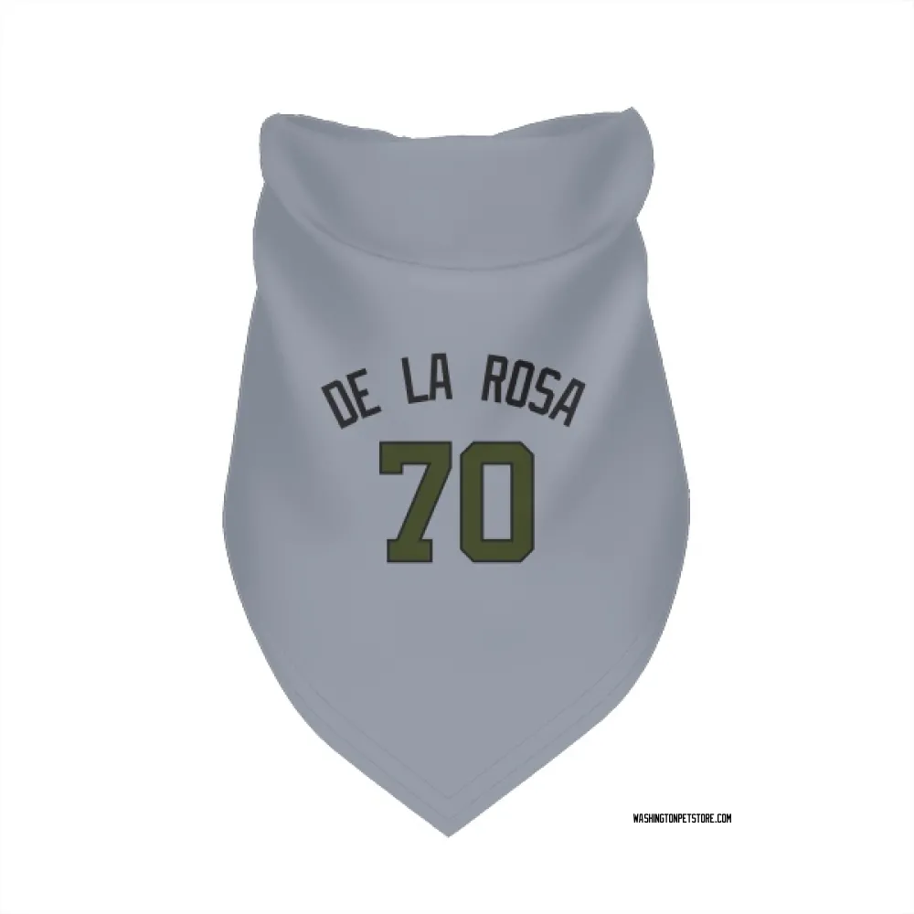 Washington Nationals Jeremy De La Rosa Gray Pet Bandana for Dog & Cat