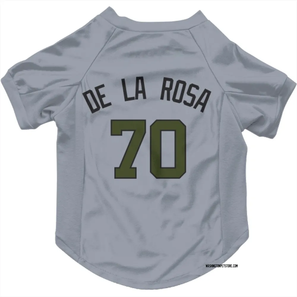Washington Nationals Jeremy De La Rosa Gray Pet Jersey for Dog & Cat