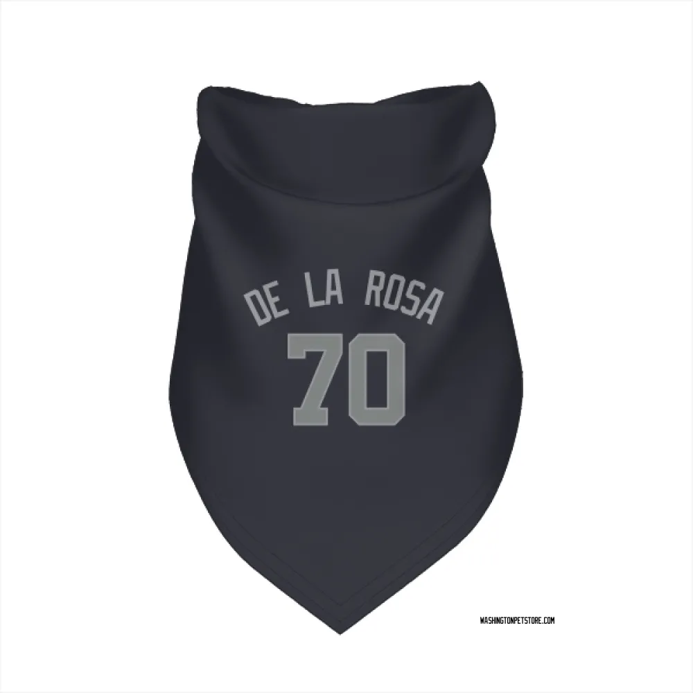 Washington Nationals Jeremy De La Rosa Navy Gray Pet Bandana for Dog & Cat