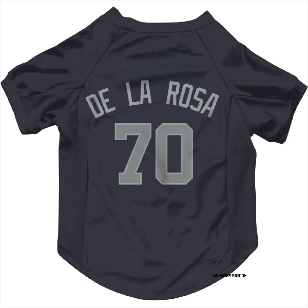 Washington Nationals Jeremy De La Rosa Navy Gray Pet Jersey for Dog & Cat
