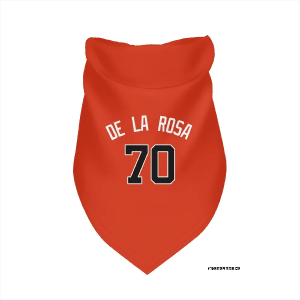 Washington Nationals Jeremy De La Rosa Orange Pet Bandana for Dog & Cat