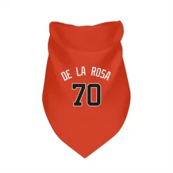 Washington Nationals Jeremy De La Rosa Orange Pet Bandana for Dog & Cat