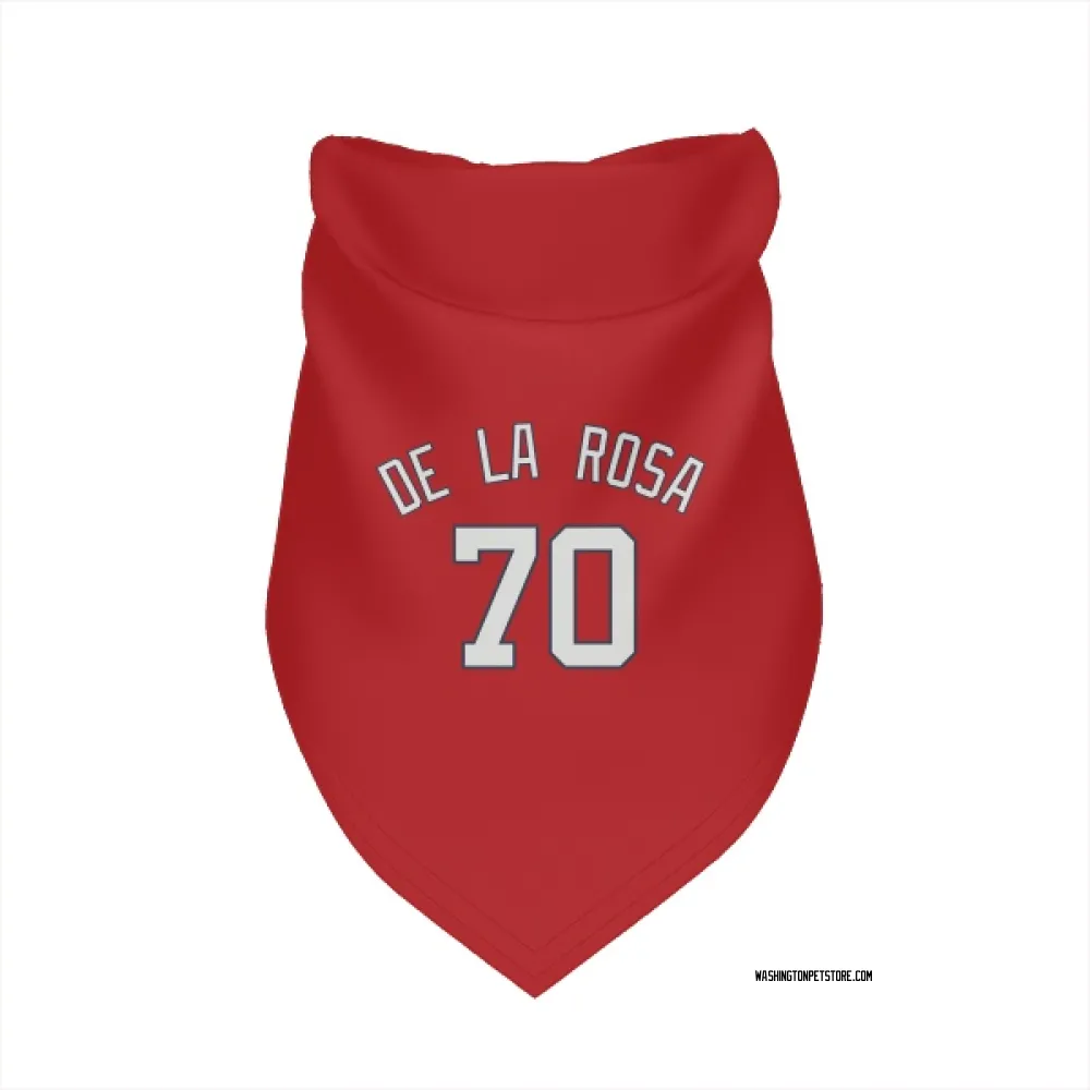 Washington Nationals Jeremy De La Rosa Red Pet Bandana for Dog & Cat